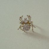 Anel Aranha